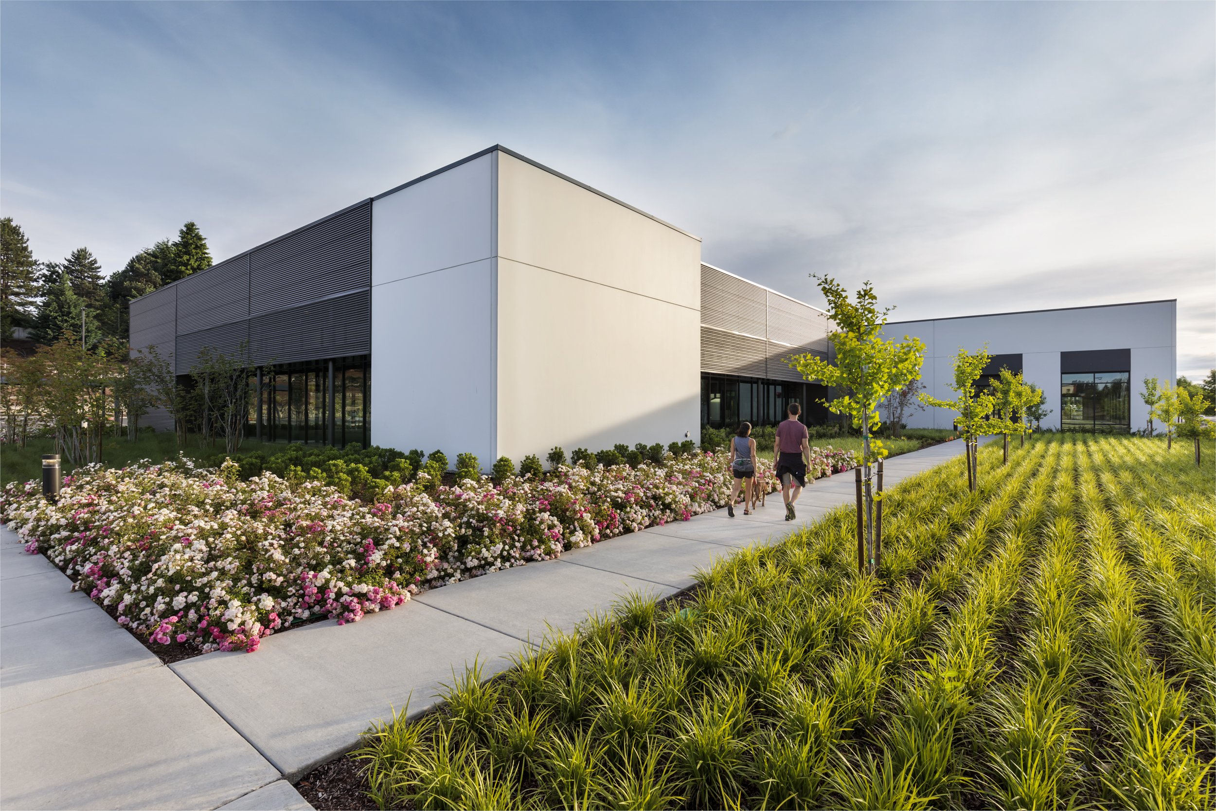 Lush green grasses and flowers line paved pathways to offices