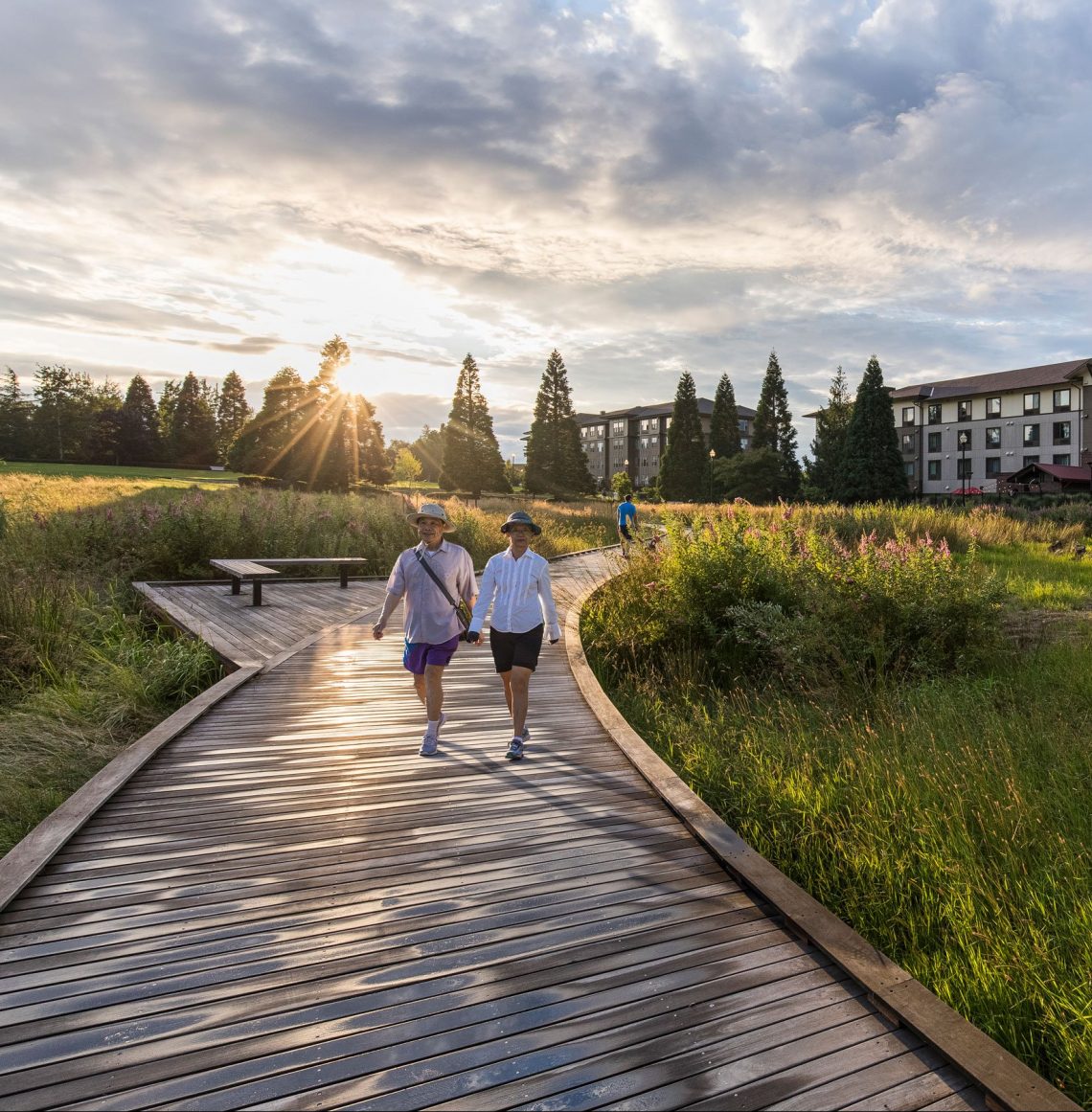 CTC Boardwalk and Wetland Restoration - Shapiro Didway