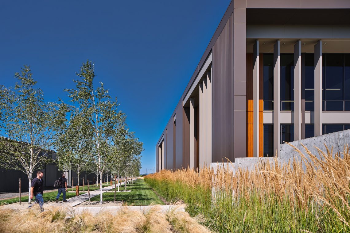 Tree-lined pathway alongside Murphy Plywood headquarters