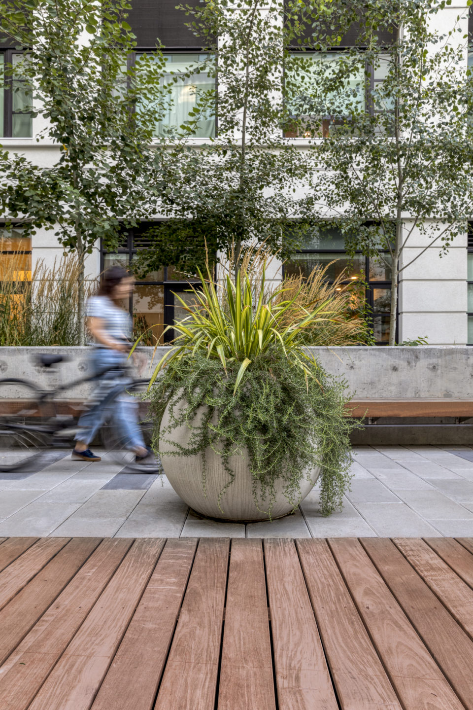 Denizen Apartments in Portland, Oregon